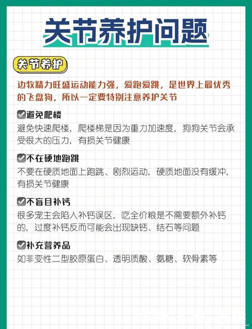 世界杯投注入口详细指南,让你轻松上手 世界杯投注入口详细指南,让你轻松上手
